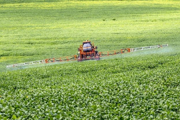 Aplicação de agrotóxico em lavoura de soja; fungicida cujo litro custa cerca de R$ 120 é um dos mais buscados pelas quadrilhas (Foto: Getty Images via BBC News Brasil)