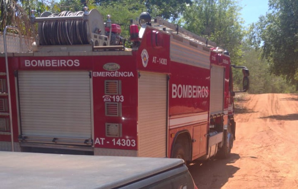 Vítimas morreram após ataque de enxame de abelhas no Rio Paraná — Foto: Blog Panorama Notícias 