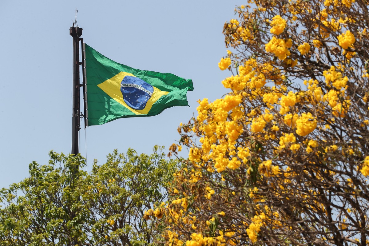 Bicentenário da Independência do Brasil será celebrado em eventos culturais  em 200 pontos da cidade de SP; veja programação | São Paulo | G1