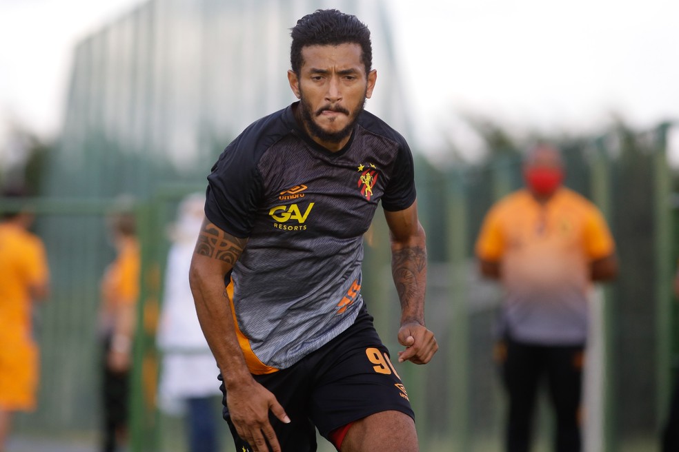 Sport Club Do Recife Logo Escudo Png E Vetor Download De Logo