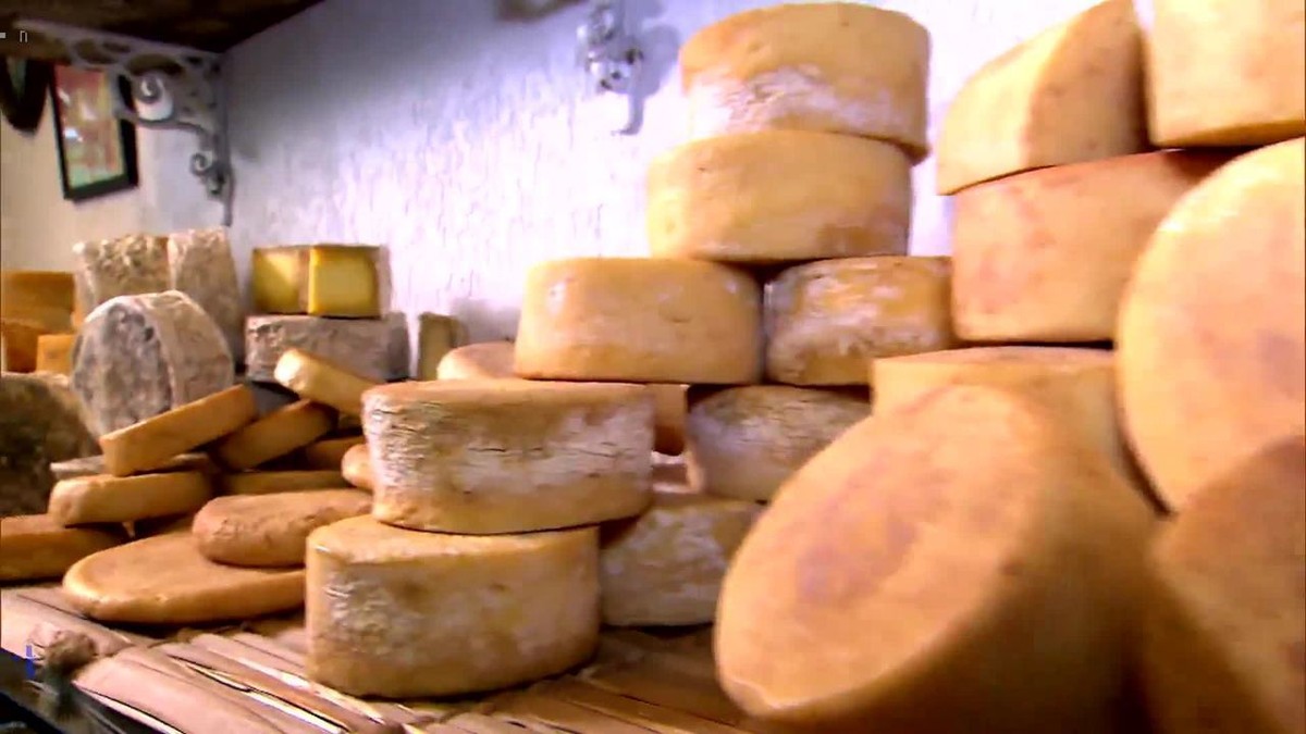 Veja os destaques do Globo Rural deste domingo (29/08/2021)