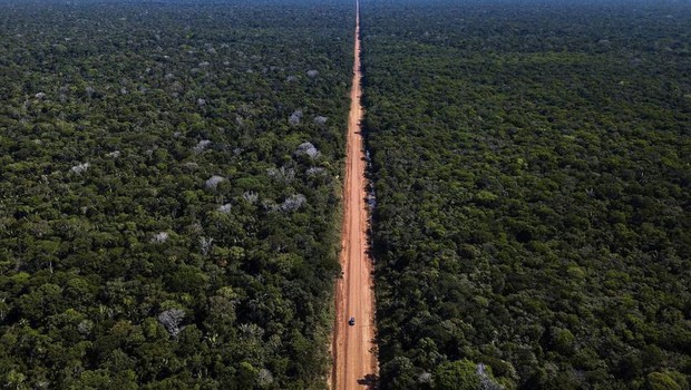 Amazônia, floresta, amazônia em chamas, queimada, floresta amazônica (Foto: Divulgação/Dnit, via Agência Brasil)