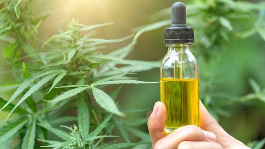 O óleo de Cannabis ajuda a reduzir convulsões, perda de memória e insônia. Também pode prevenir a infecção por Covid, segundo estudo nos EUA.