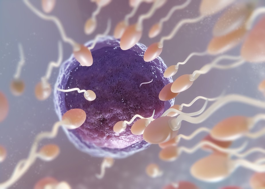 Espermatozoides tentam fecundar um óvulo. Foto: Reprodução/Freepik