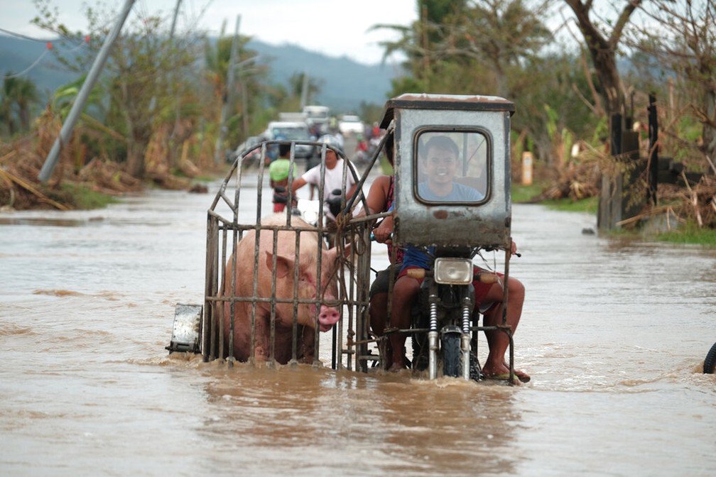 Homens transportam um porco em meio a enchente provocada pela passagem do tufão Vamco nas Filipinas, em foto de 12 de novembro — Foto: John Michael Magdasoc/AP