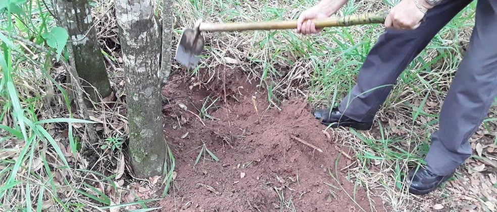 PM apreende dinamite, pasta base de cocaína e centenas de porções de droga enterradas em Sarapuí — Foto: Polícia Militar/Divulgação