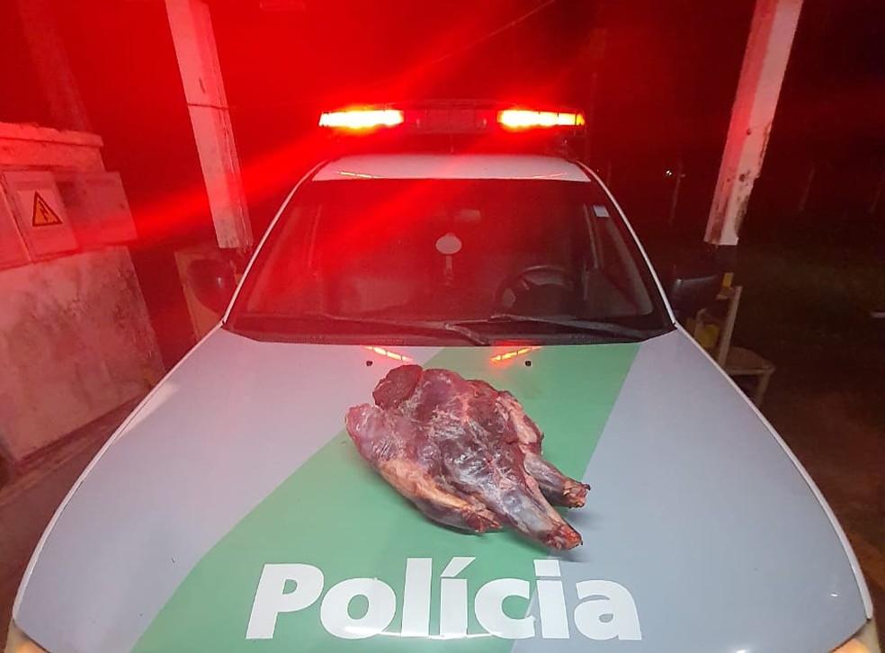 Quase 170 quilos de carnes foram apreendidos em Rosana (SP) — Foto: Polícia Militar Ambiental