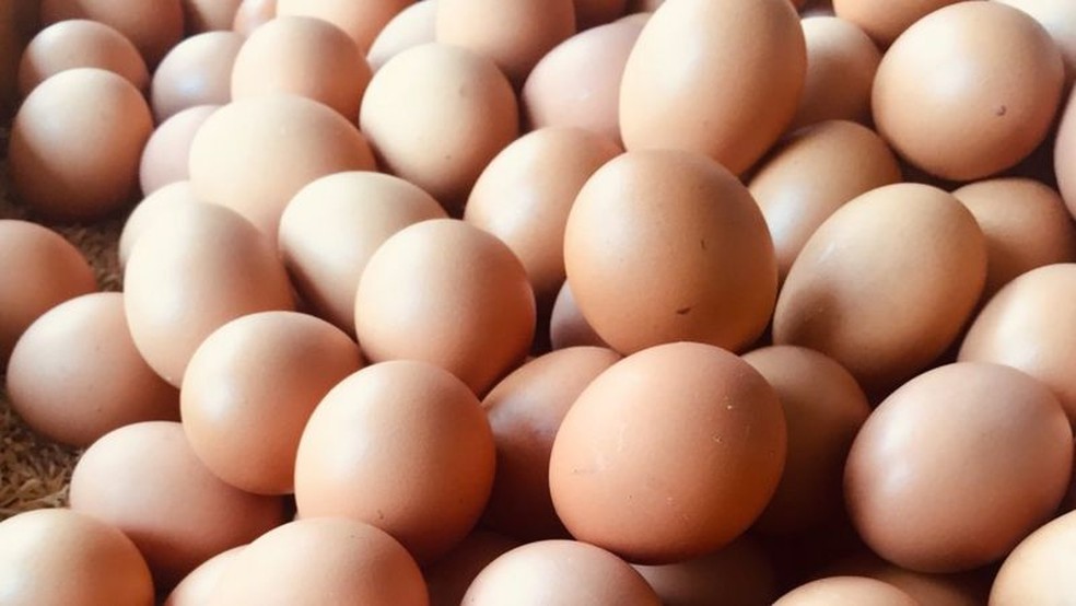 8 dados interessantes sobre os ovos, um dos alimentos mais nutritivos do  mundo | Agronegócios | G1