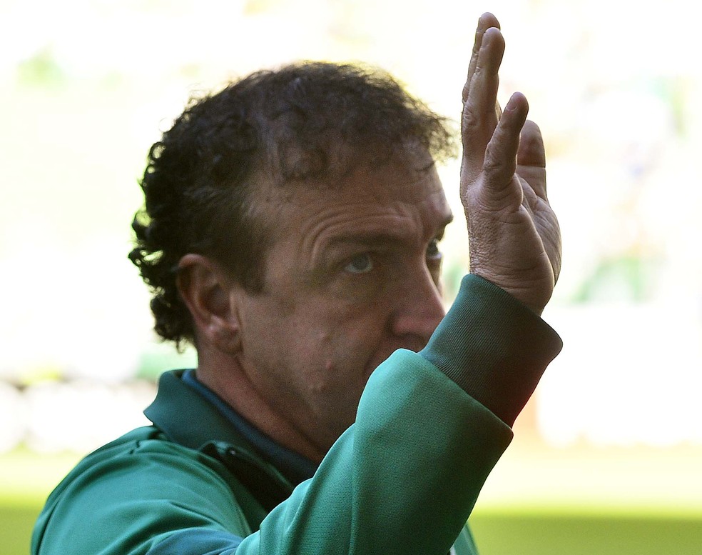 Cuca lamenta derrota, mas foca jogo da Libertadores (Foto: Marcos Ribolli)