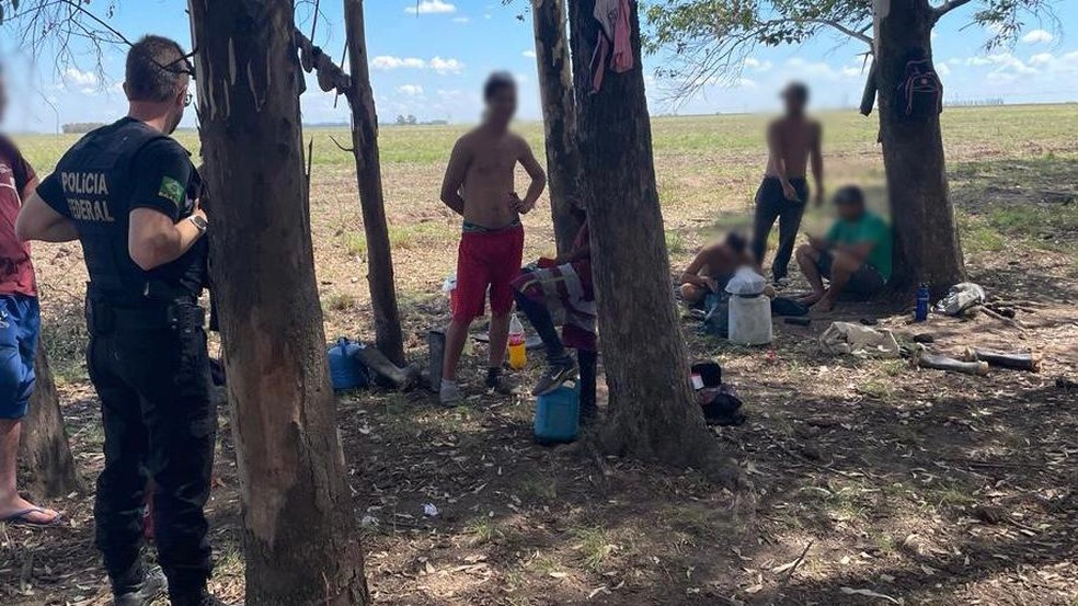 Trabalho escravo Uruguaiana — Foto: Polícia Federal