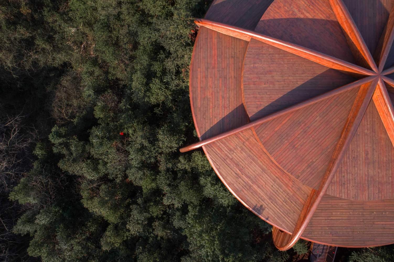 Vilarejo de casas na árvore é destaque em resort na China (Foto: Divulgação)