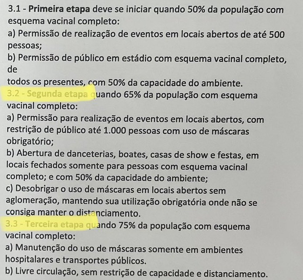 Ata da reunião do Comitê Científico do Rio, em 9 de agosto — Foto: Reprodução/Twitter 