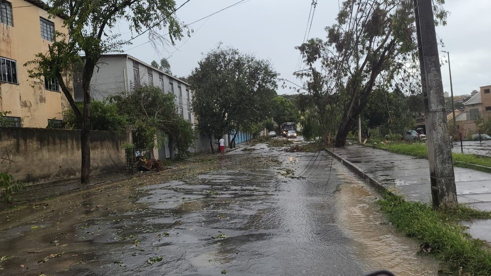 Chuvas e aumento do nível do Rio Itapecerica em Divinópolis colocam  bombeiros e Defesa Civil em alerta | Centro-Oeste | G1