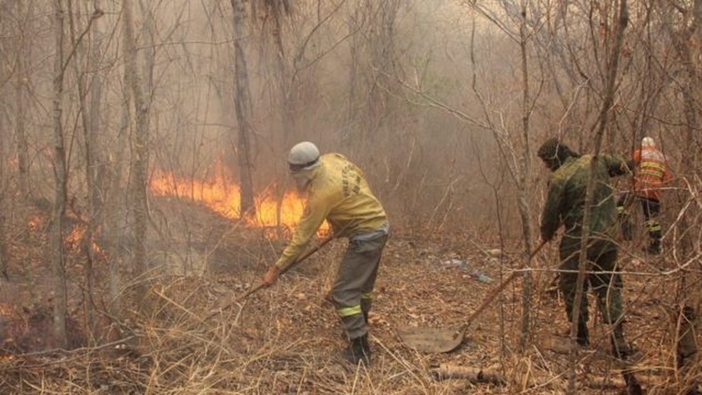 Novos incêndios foram registrados em alguns pontos do Pantanal nos últimos dias, após fogo diminuir no bioma — Foto: Silvio de Andrade/Governo de MS