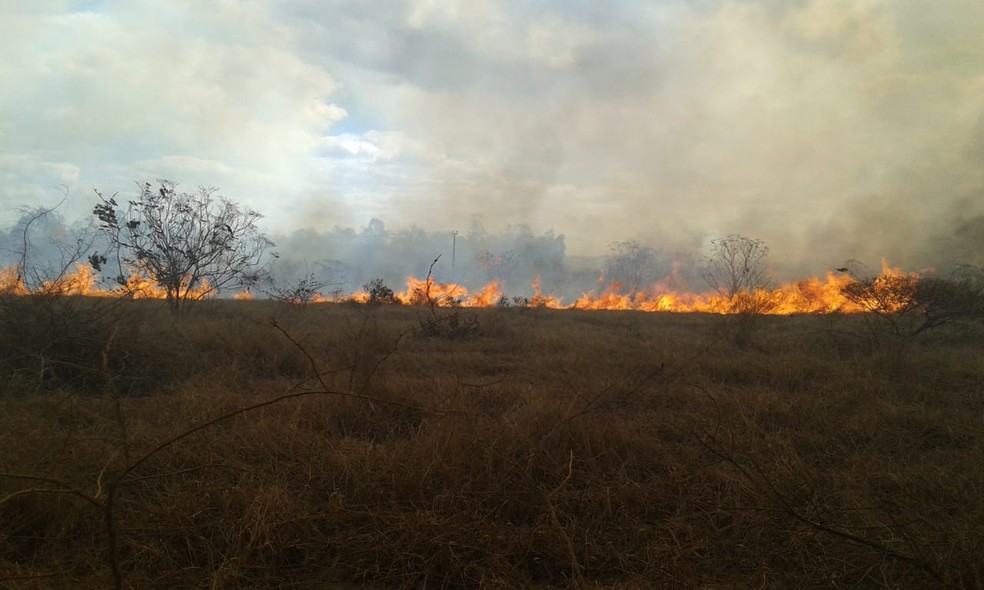 IncÃªndio na regiÃ£o sudoeste da Bahia â?? Foto: Edson Nunes/TV Sudoeste