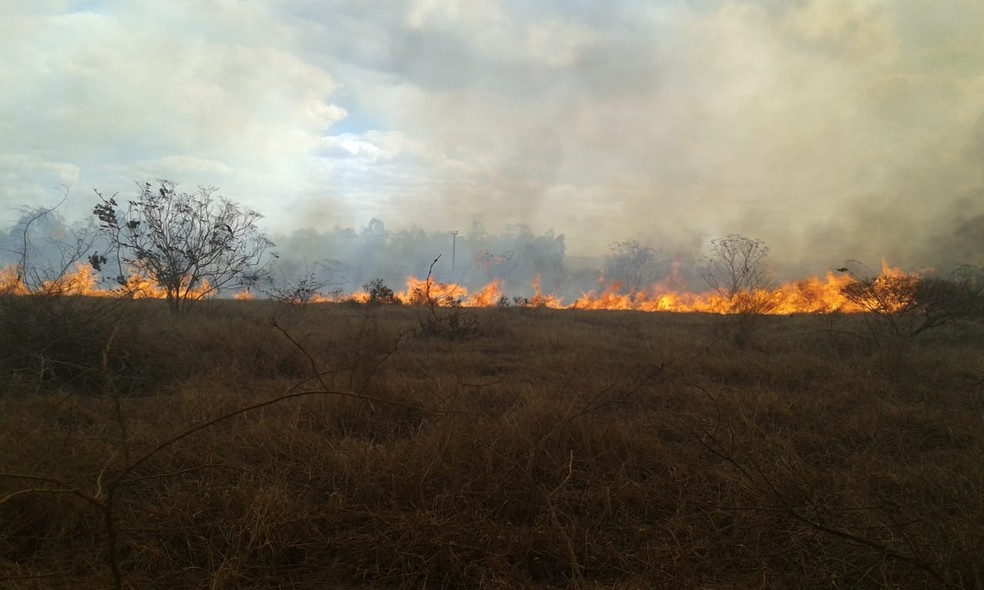 Incêndio na região sudoeste da Bahia — Foto: Edson Nunes/TV Sudoeste