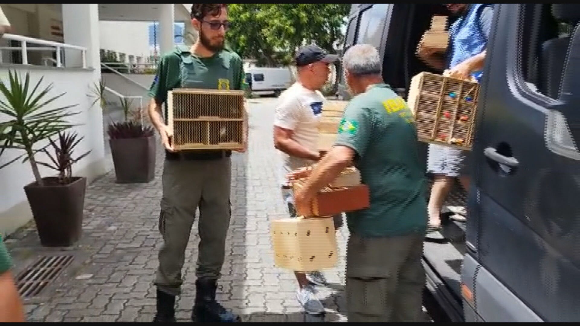 Operação da Polícia Civil e Ibama em feira na Tijuca termina com seis presos e 68 aves silvestres resgatadas