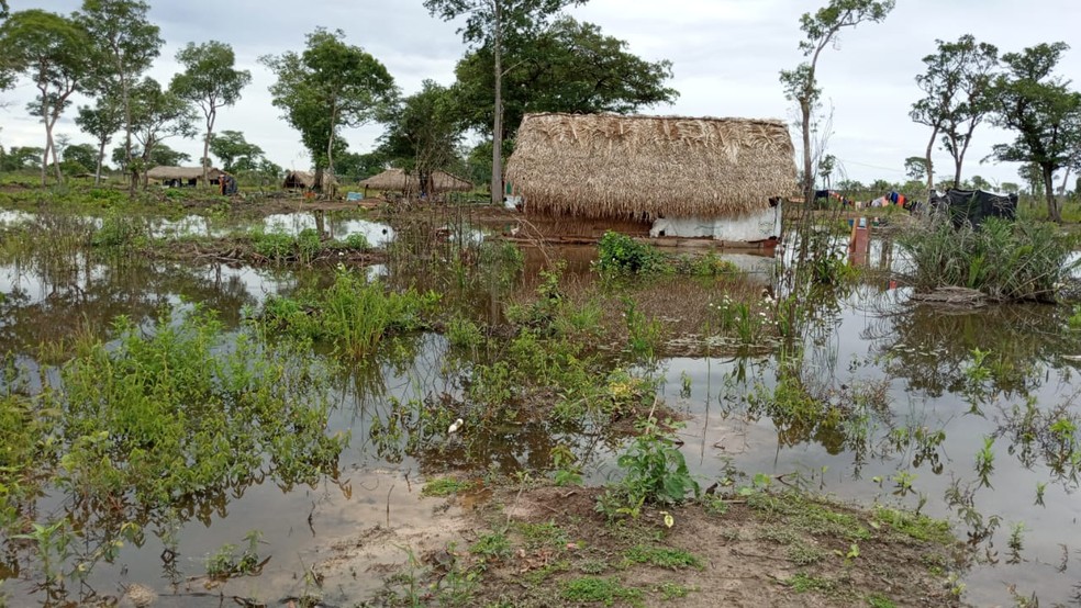 Casas estão alagadas em aldeia no interior do Tocantins  — Foto: Divulgação/ Wagner Krahô-kanela