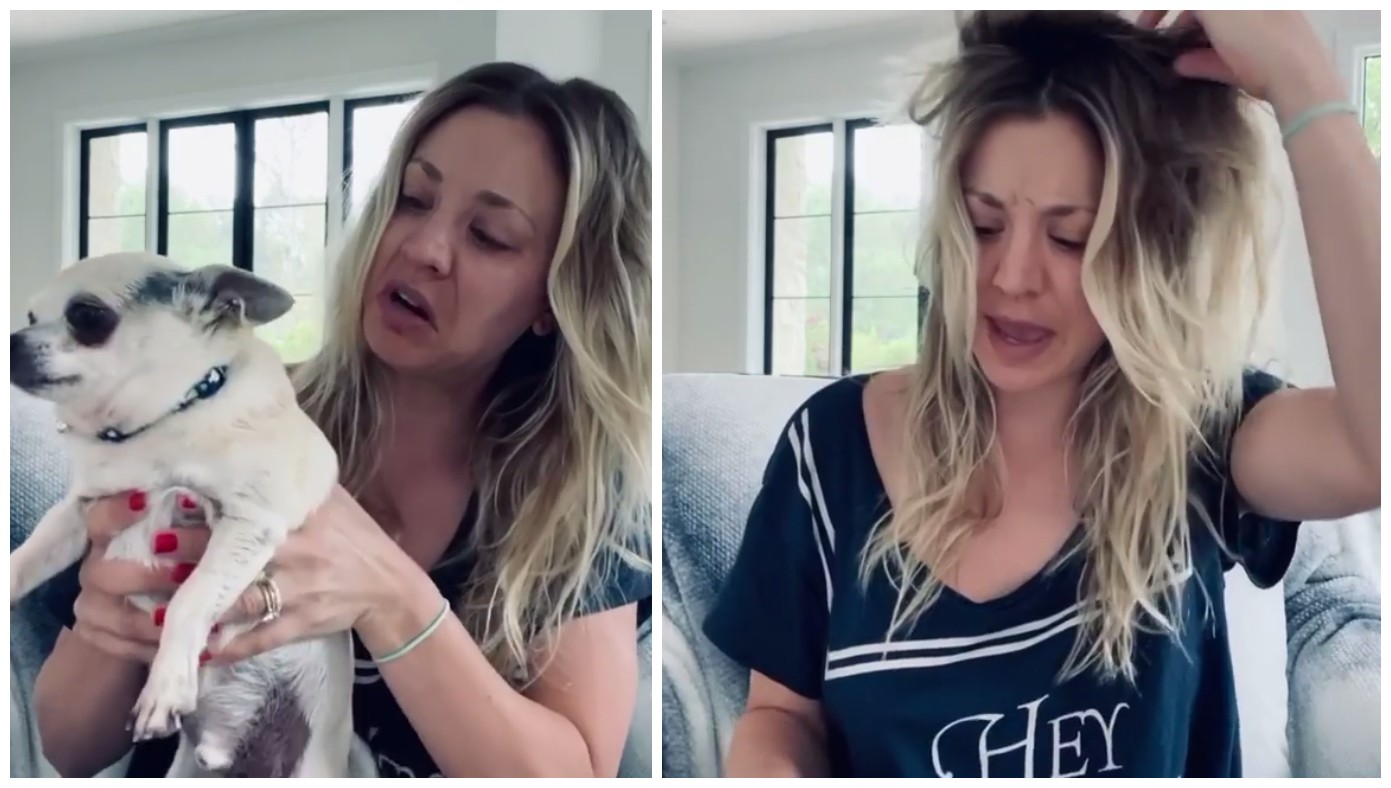 A atriz Kaley Cuoco com o cachorrinho sujo de xixi e depois passando a mão no cabelo (Foto: Instagram)