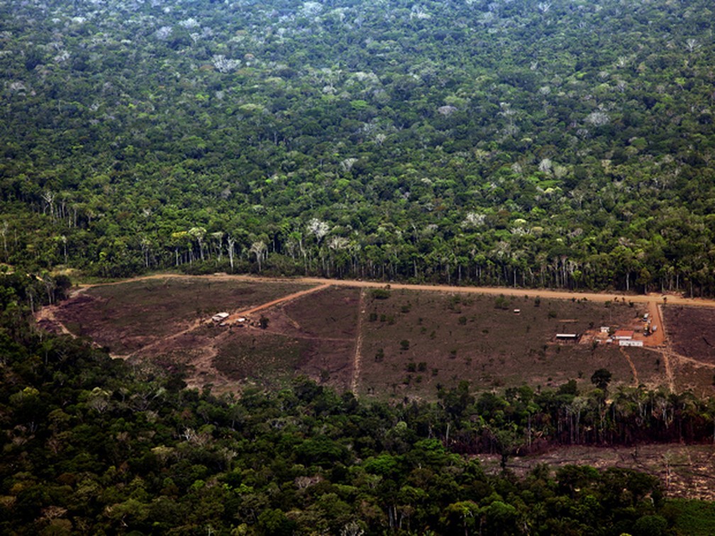 Desmatamento em Porto Velho, Rondônia. — Foto: Divulgação/Greenpeace/Marizilda Cruppe/EVE