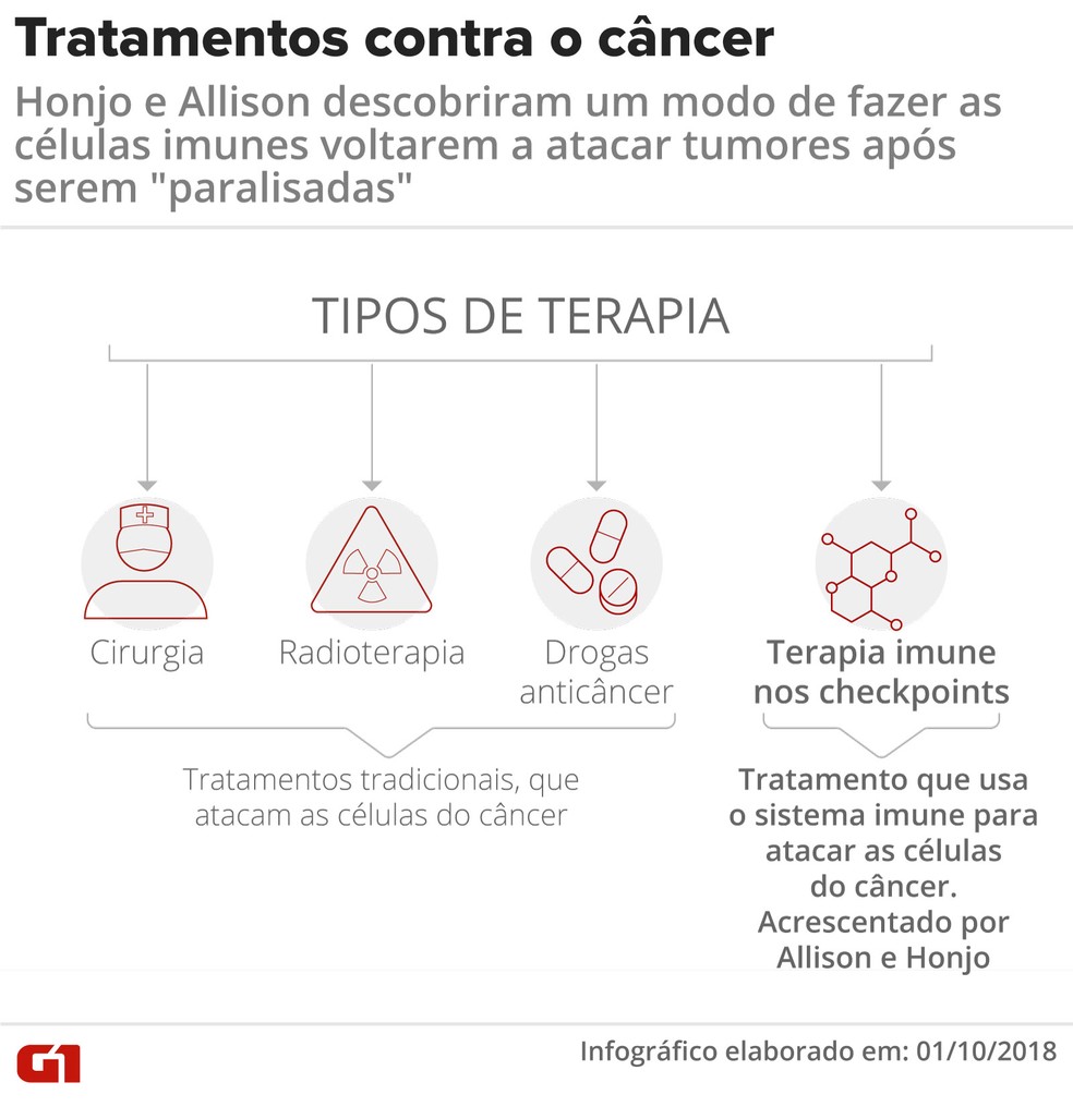 Tipos de tratamento contra o câncer: Nobel de medicina foi para descobertas em imunoterapia — Foto: Claudia Peixoto/Arte G1