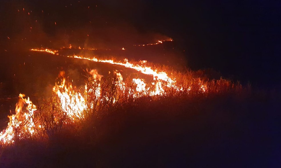 Bombeiros trabalham há um dia para combater queimada na zona rural de Gália — Foto: Corpo de Bombeiros/Divulgação