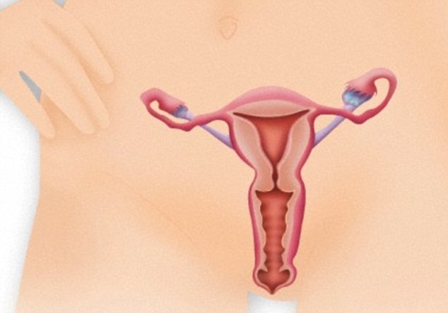 Cerca de 55 mulheres são diagnosticadas com algum tipo de câncer ginecológico por dia na Inglaterra (Foto: Reprodução / The Eve Appeal)