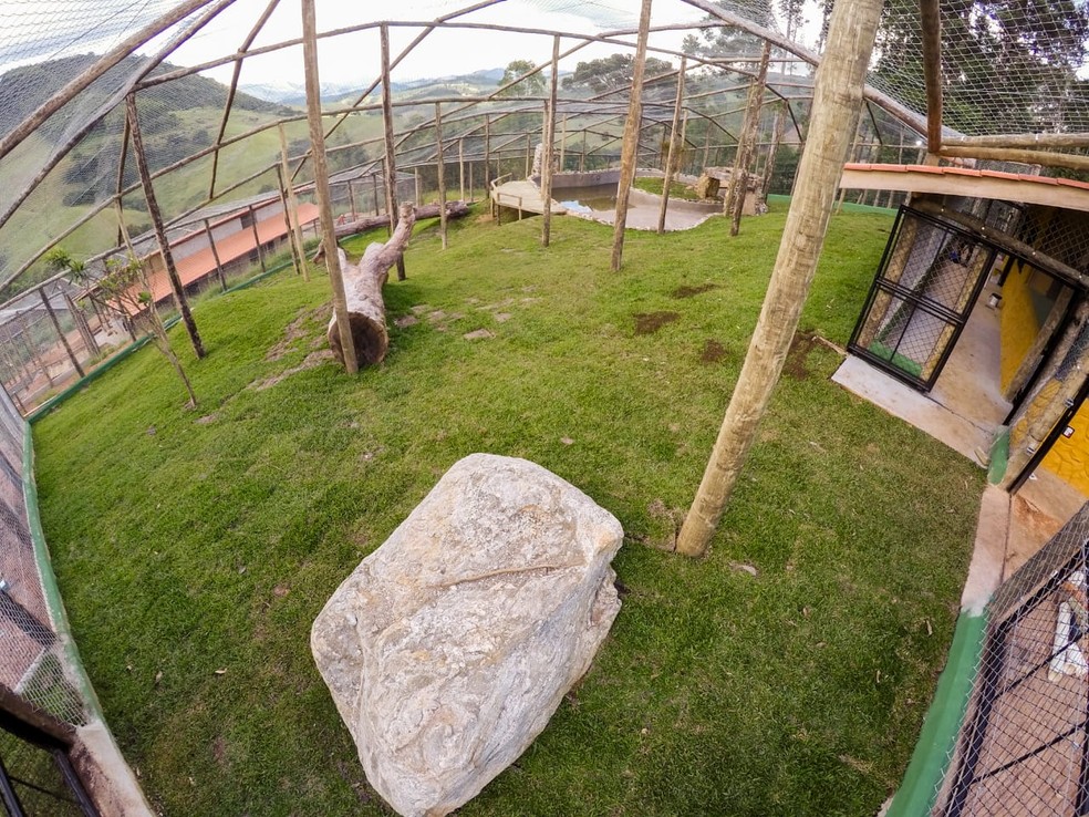 Ambiente que vai receber ursos Dimas e Kátia já está pronto em santuário de animais em Joanópolis — Foto: Biga Pessoa/ Rancho dos Gnomos