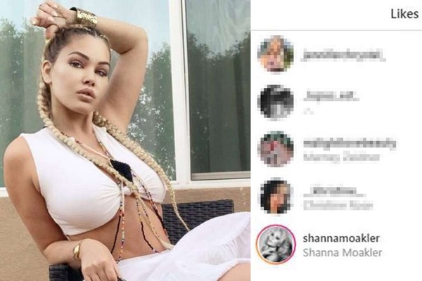 O registro da curtida de Shanna Moakler no comentário atacando Kourtney Kardashian (Foto: Instagram)
