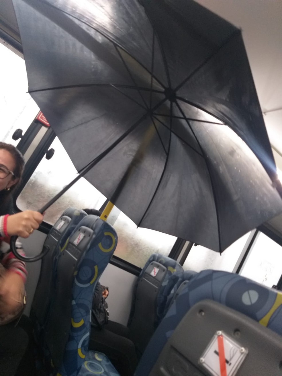 Pedaço do teto de ônibus caiu em meio a tempo chuvoso, nesta quinta-feira (18) — Foto: Divani Maria Cardoso