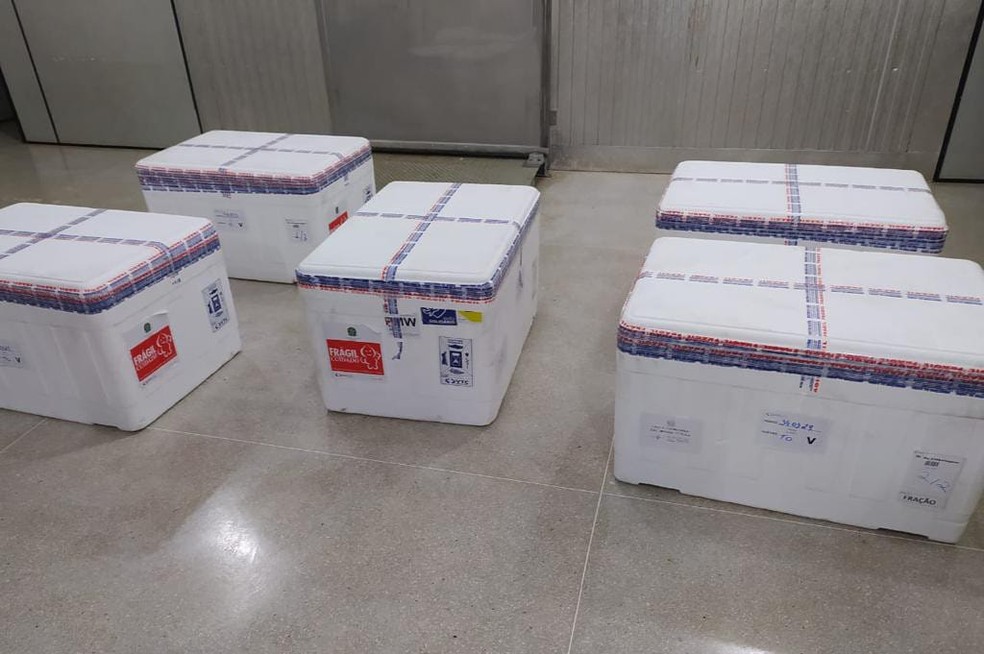 Mais 45,6 mil doses da vacina Coronavac serão distribuídas nos municípios do Tocantins — Foto: Divulgação/Secretaria da Saúde