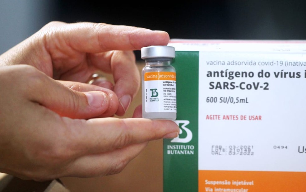 Bahia recebe novo lote com mais de 220 mil doses da vacina contra a Covid-19 — Foto: Mateus Pereira/GOVBA