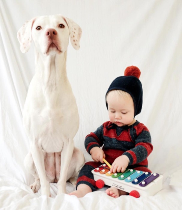 Cachorra Nora escolheu Archie como melhor amigo (Foto: Instagram/Reprodução) Cachorra Nora escolheu Archie como melhor amigo (Foto: Instagram/Reprodução)