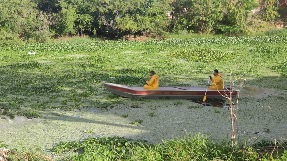 Corpo em estado de decomposição é encontrado no Rio Mossoró — Foto: Isaiana Santos/Inter TV Cabugi