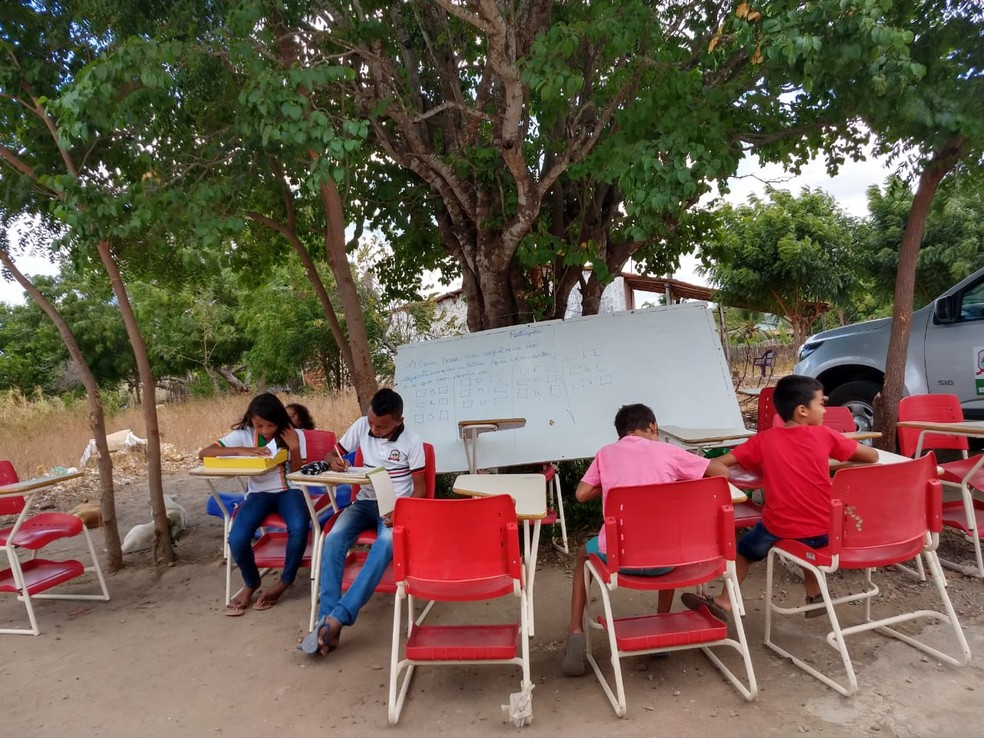 Alunos improvisam aula sob Ã¡rvore para nÃ£o perderem o ano letivo em Caucaia â€” Foto: Almir Gadelha/TV Verdes Mares