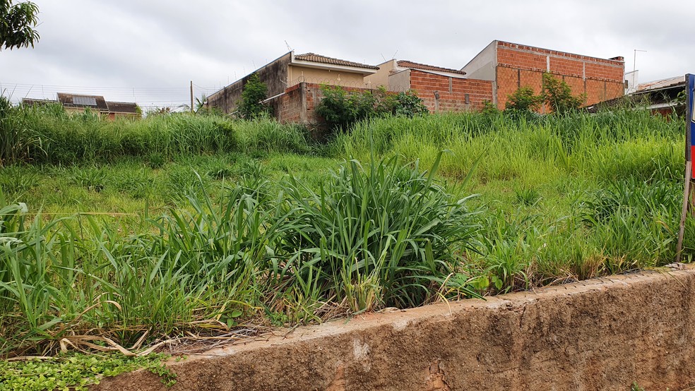 Muitos espaços vazios já dentro da cidade poderiam ser usados — Foto: Stephanie Fonseca/g1