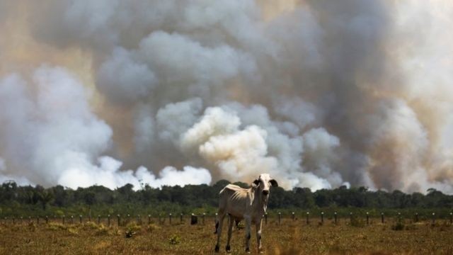 Professora diz desconhecer base científica para enquadrar garimpeiros e pecuaristas como povos tradicionais (Foto: REUTERS via BBC News Brasil)