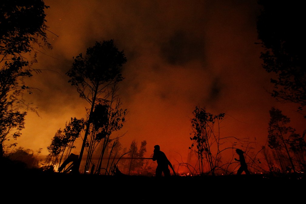 Bombeiros tentam apagar fogo no parque nacional de Sebangau, na Indonesia; país registra o pior ano de incêndios florestais desde 2015 — Foto: Willy Kurniawan/Reuters