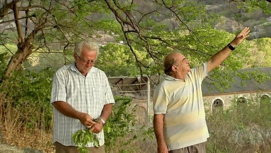 Foto: (Reprodução/TV Globo) Foto: (Reprodução/TV Globo)