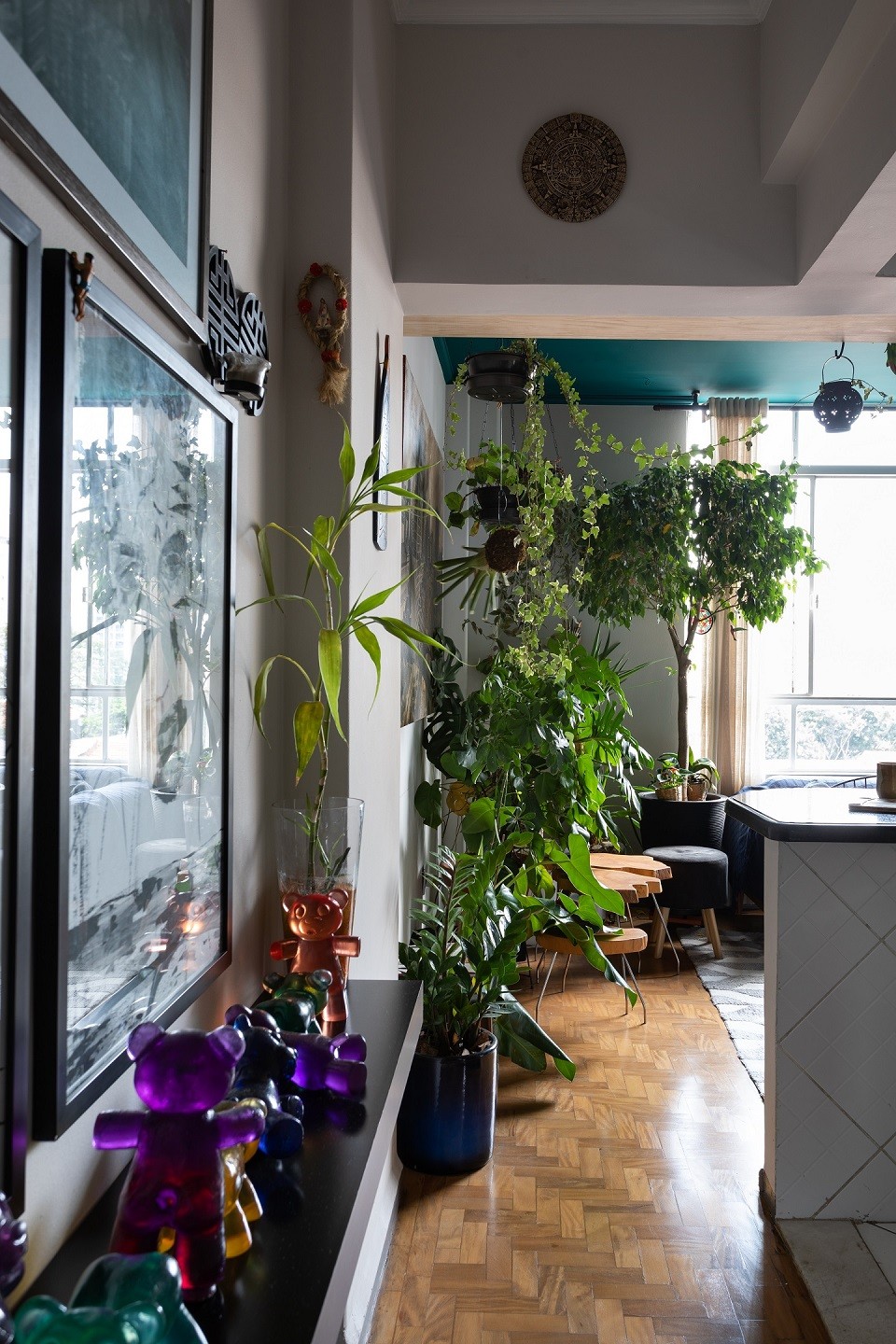 O apartamento cheio de plantas e sabores de Thiago Medeiros (Foto: Lufe Gomes)