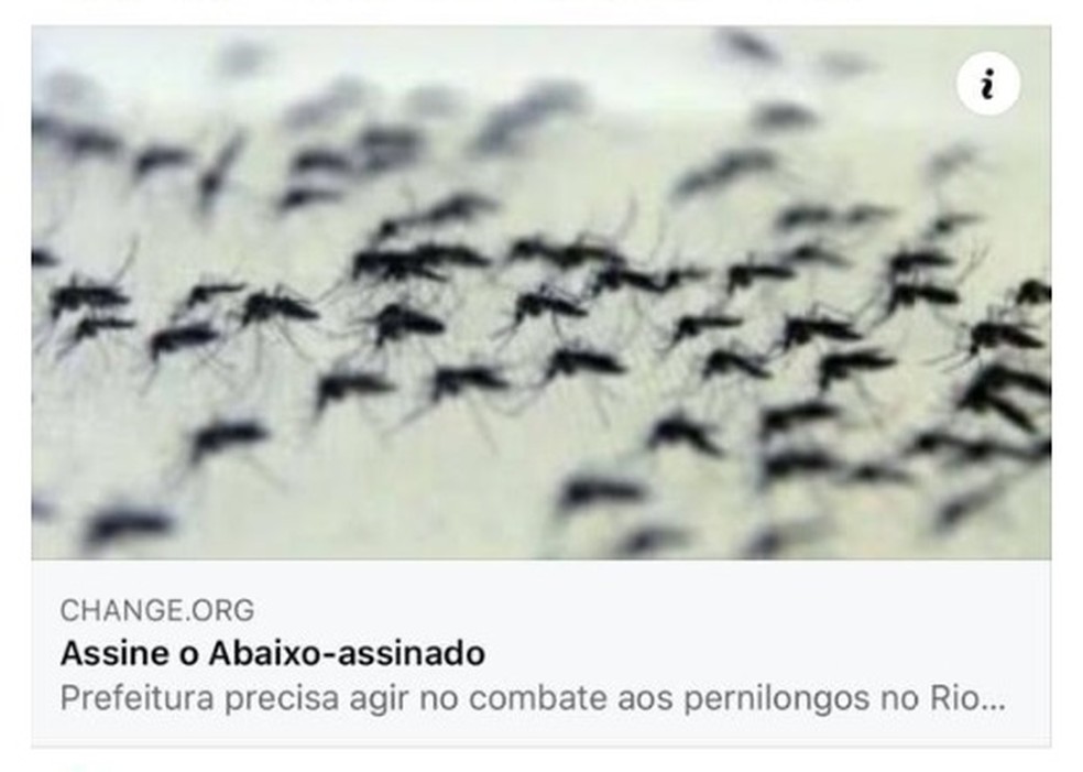 Moradores reclamam infestação de pernilongos na Zona Oeste de SP. — Foto: Reprodução