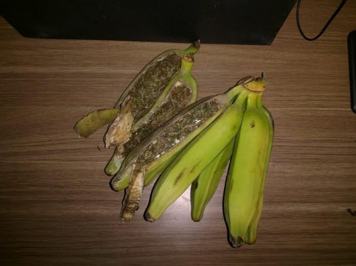 Bananas recheadas com maconha são encontradas durante revista em cadeia pública do Sertão de PE