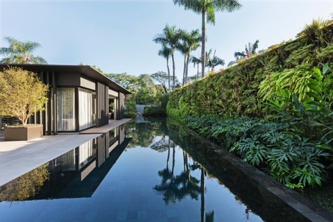 No projeto idealizado pelo paisagista Alex Hanazaki, o jardim vertical fica na beira da piscina e tem alpínia, falso-íris, guaimbês e samambaia amazônica