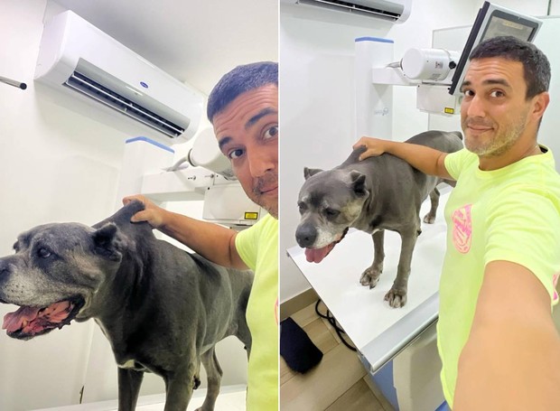 André Marques e Gorda, quando ela teve que ir para o veterinários após engolir vidro (Foto: Instagram/@euandremarques/Reprodução)