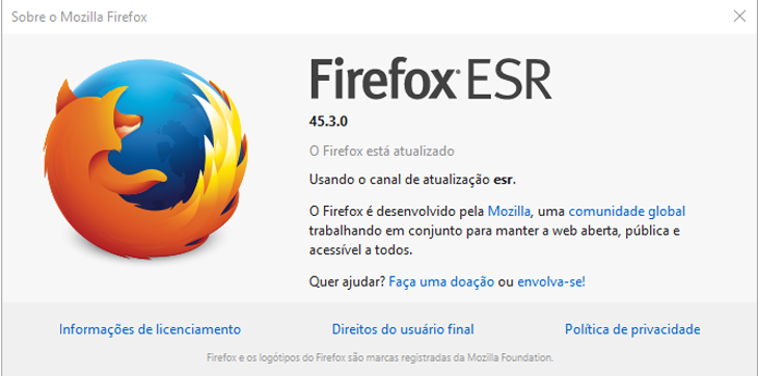 Firefox possui versão voltada para organizações com muitos usuários (Foto: Reprodução/Mozilla)