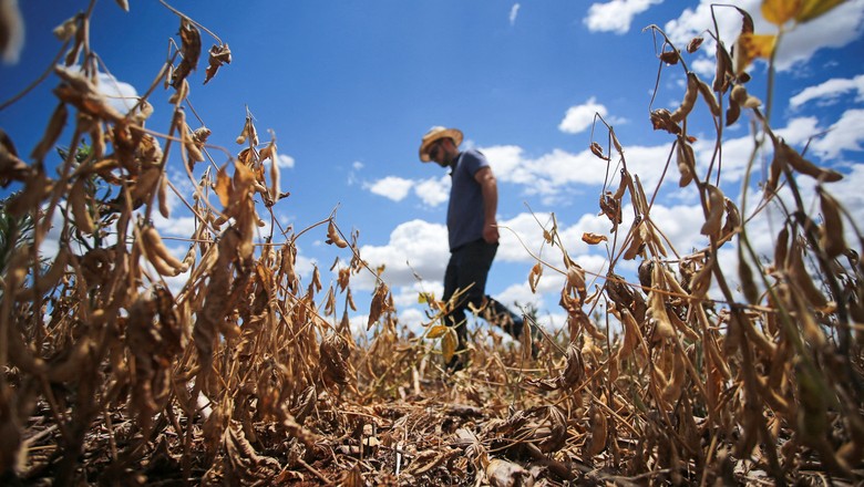 agricultura-seca-rs (Foto: Reuters)