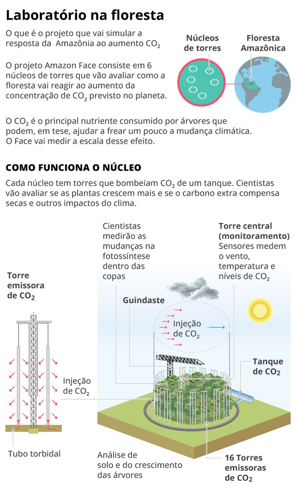 O experimento AmazonFace &mdash; Foto: Cria&ccedil;&atilde;o/O Globo