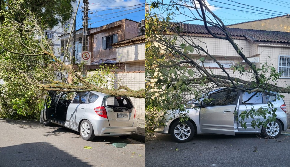 Árvore cai e atinge veículo estacionado em Santos, SP, nesta quarta-feira — Foto: Reprodução