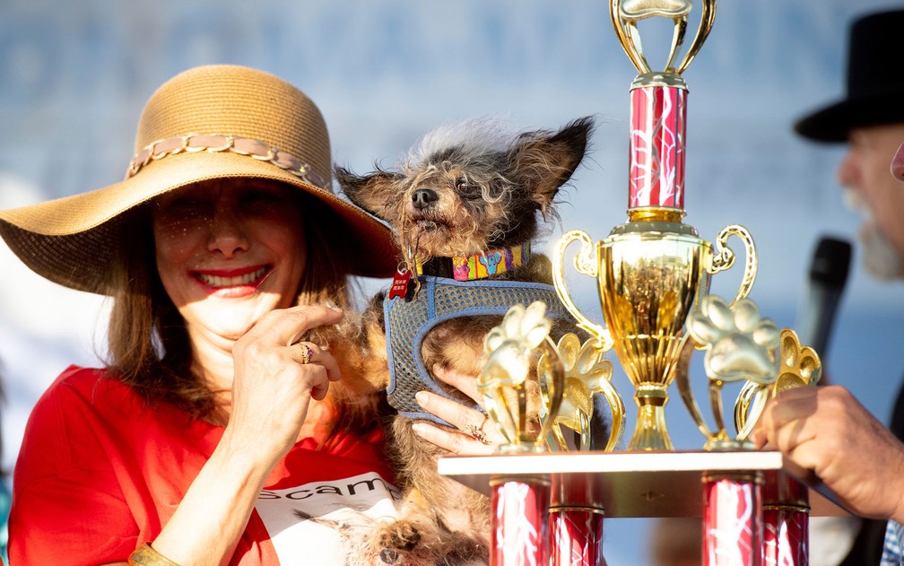 Darlene Wright exibe Scamp the Tramp no concurso de Cão mais Feio do Mundo, em Petaluma, Califórnia  — Foto: AP Photo/Noah Berger