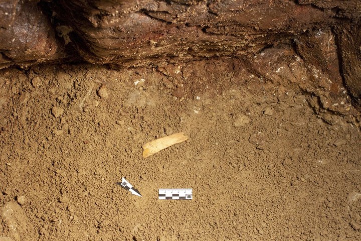 Tiara de marfim de mamute foi encontrada na caverna de Denisova (Foto: Novosibirsk Institute of Archeology and Ethnography)